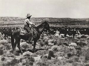 Cowboy