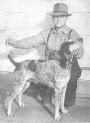 Coon Dog
