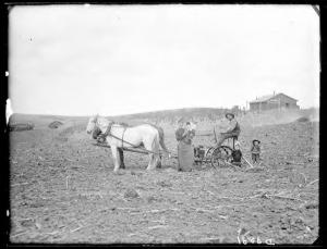 Planting