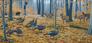Turkeys in Forest